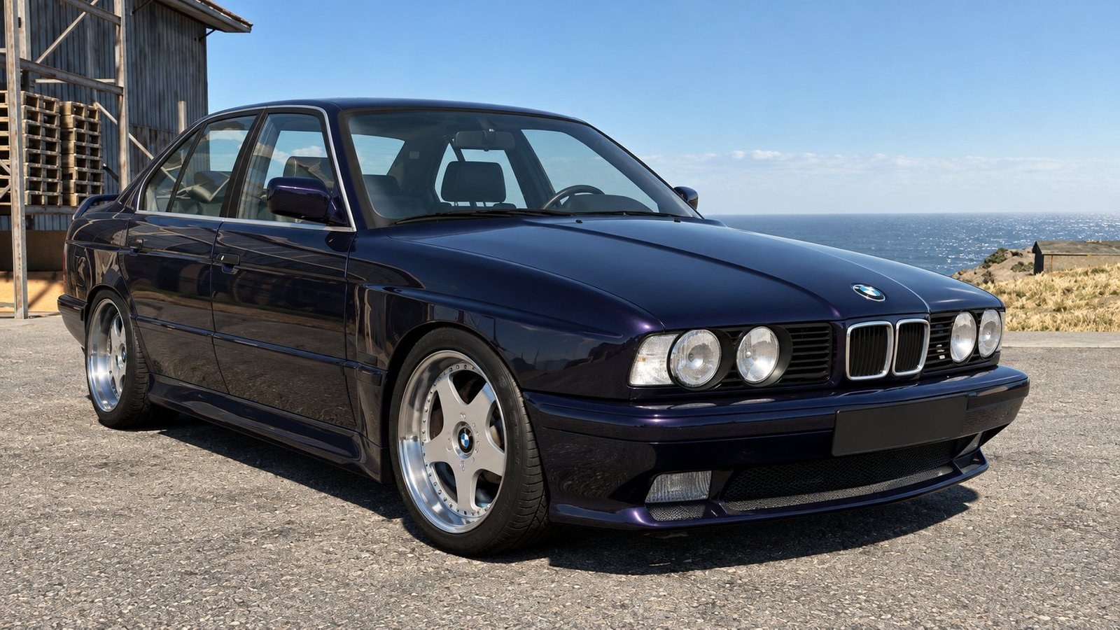 BMW E34 Sedan and Touring screenshot