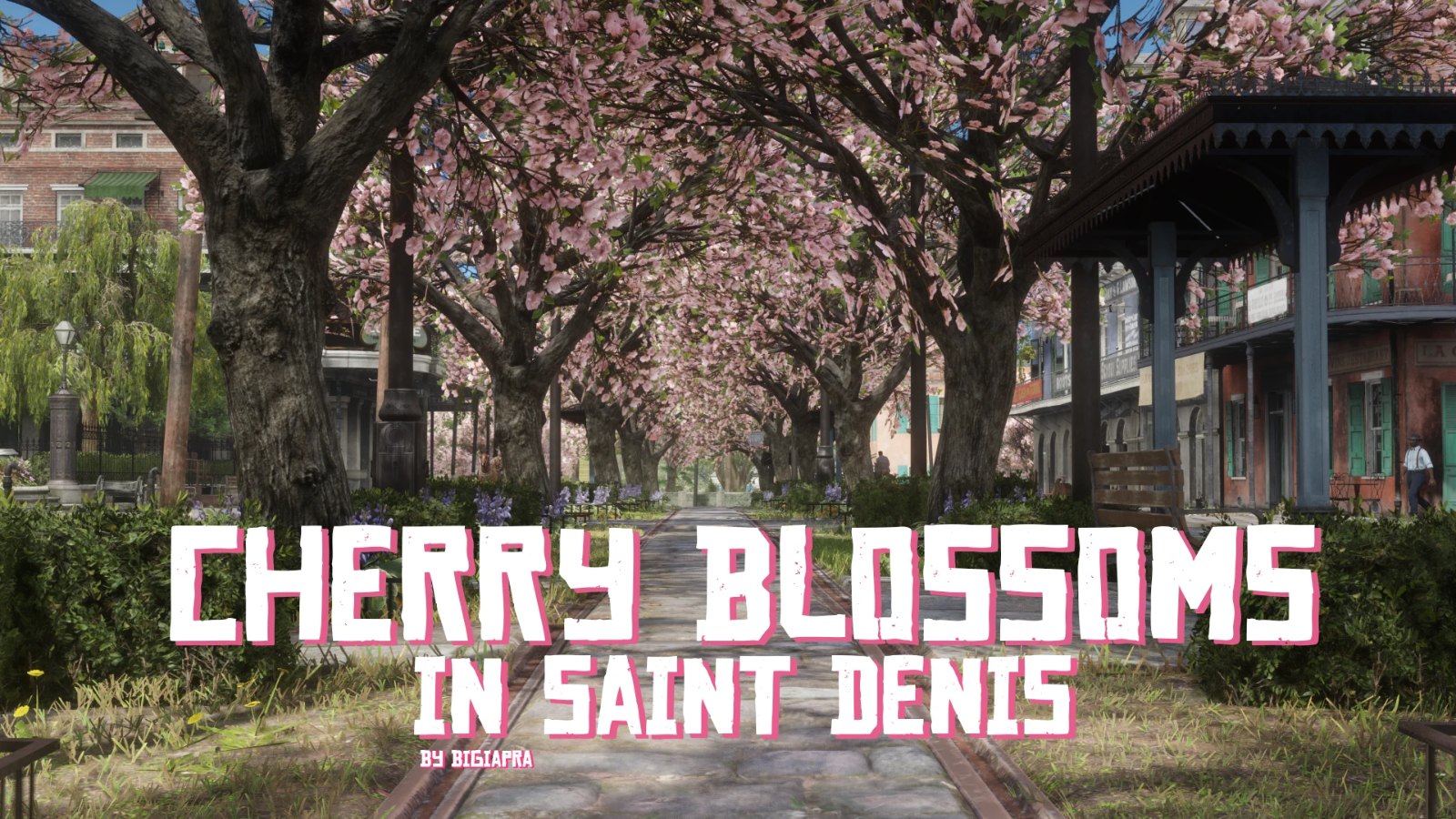 Cherry Blossoms in Saint Denis