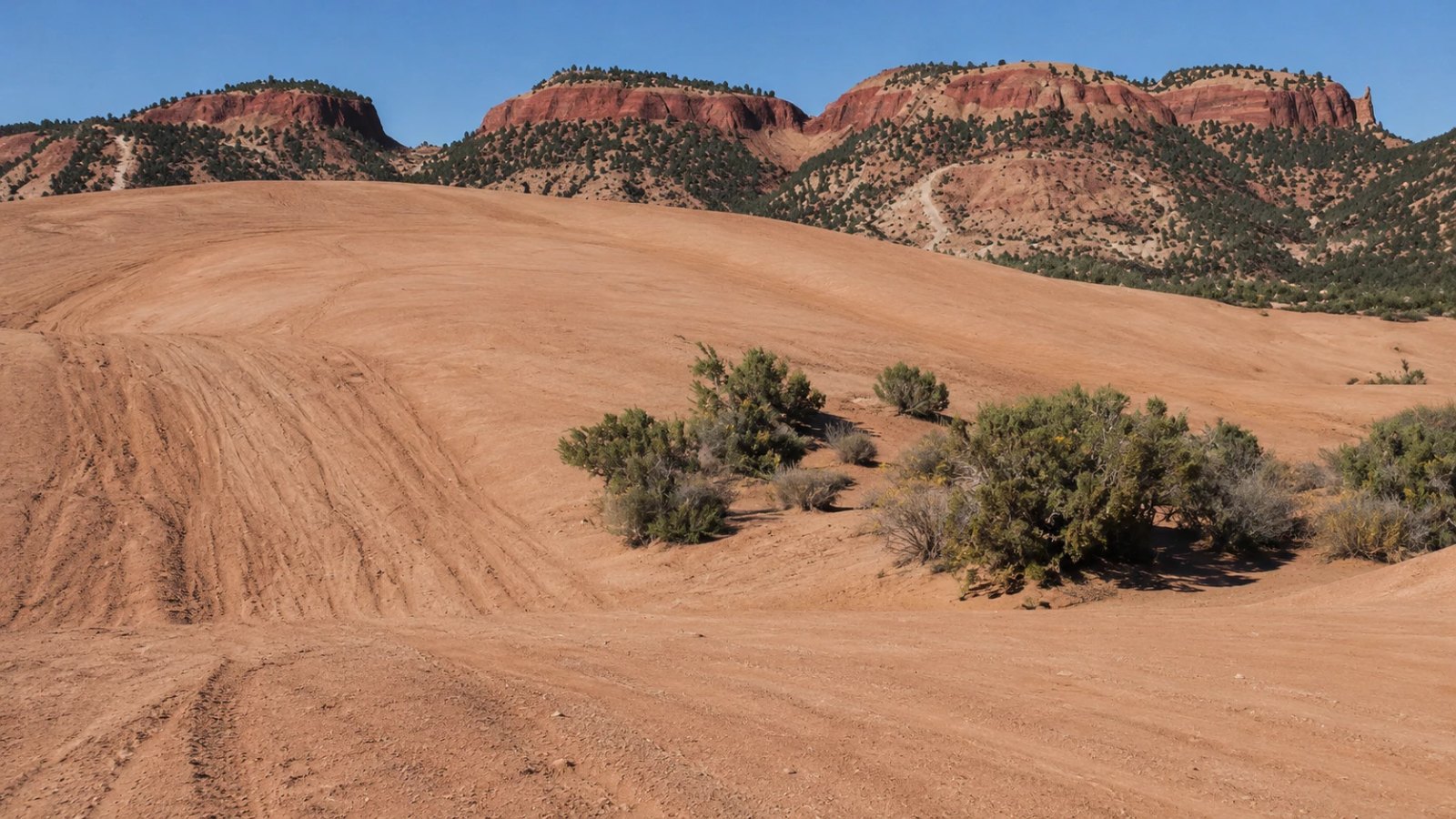 Coral Pink Sand Dunes