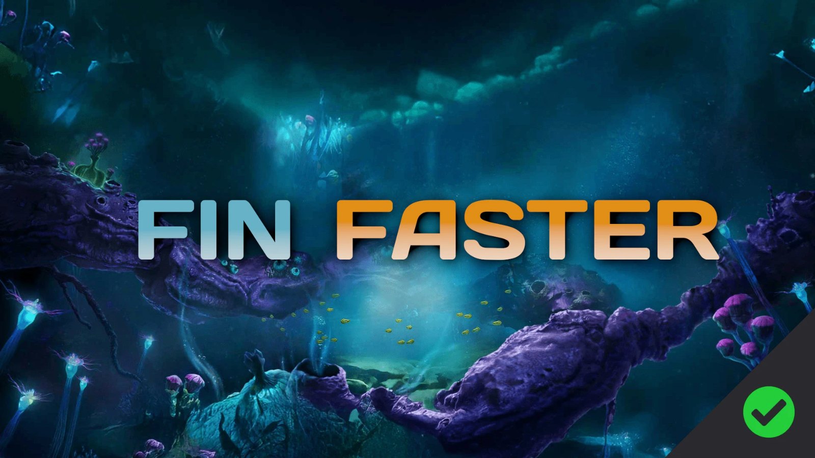 Fin Faster