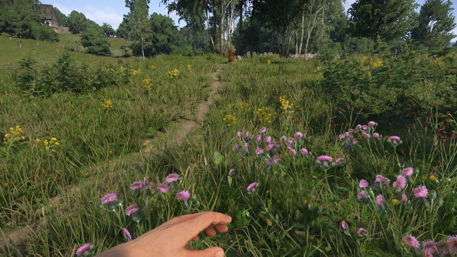 First Person Herb Picking