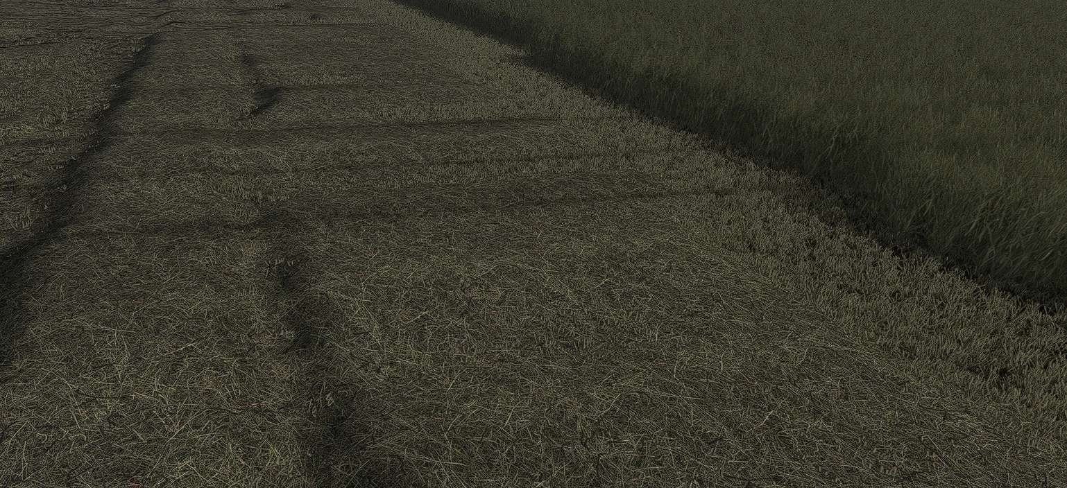 Grass Texture screenshot