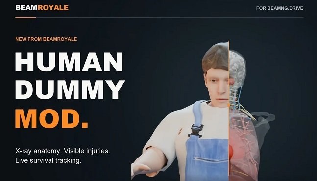 Human Dummy