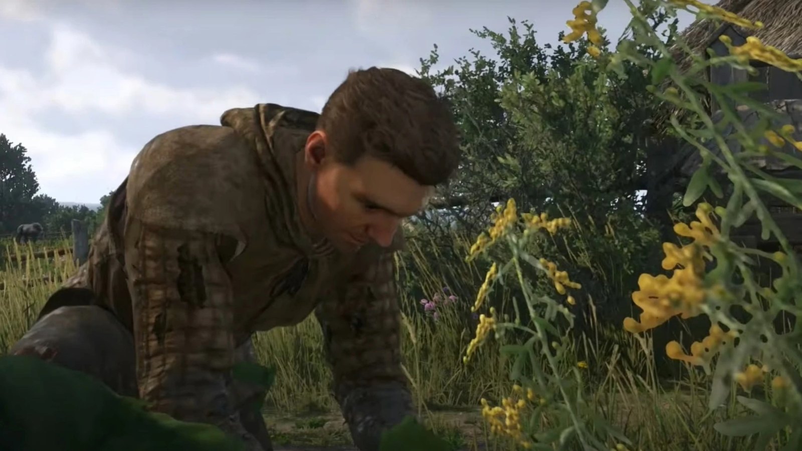 Insta Butchering and Picking Herbs