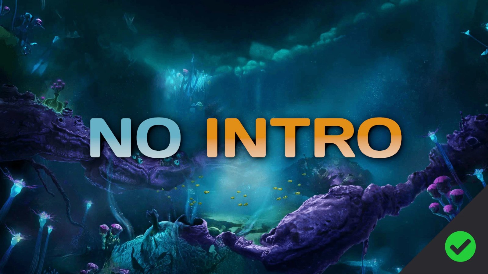 No Intro screenshot