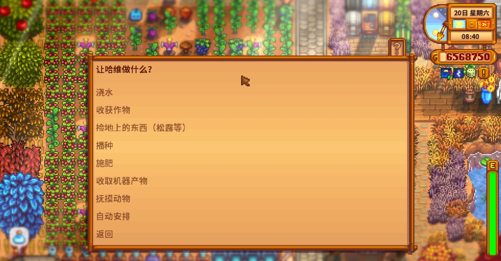 Spouse Helper - Realistic Married Life