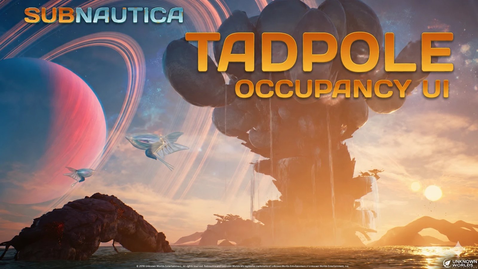 Tadpole Occupancy UI screenshot
