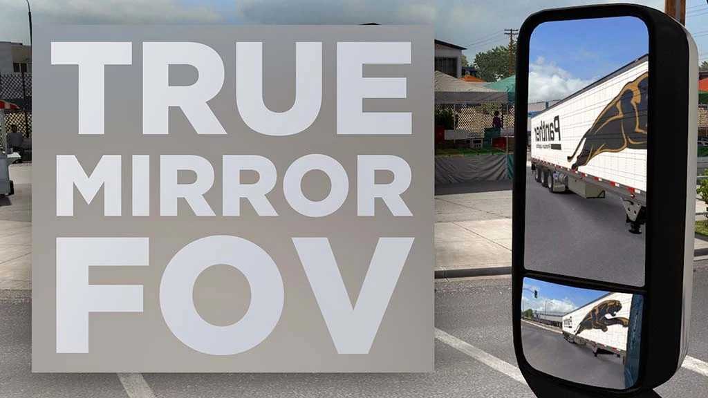 True Mirror FOV screenshot