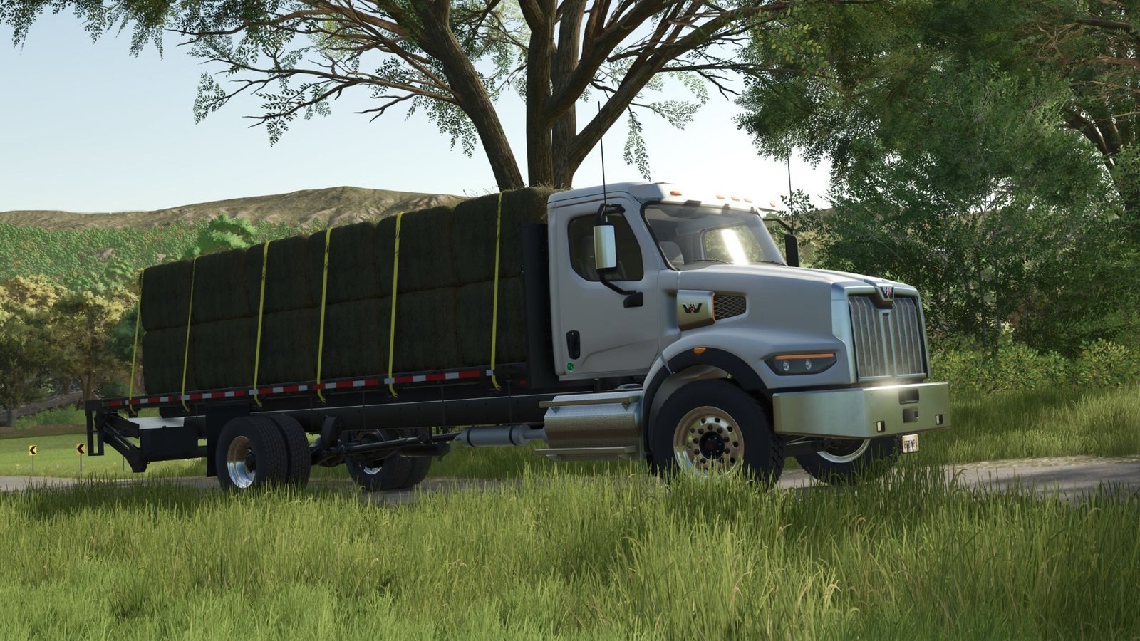 Western Star 49X Stakebed screenshot