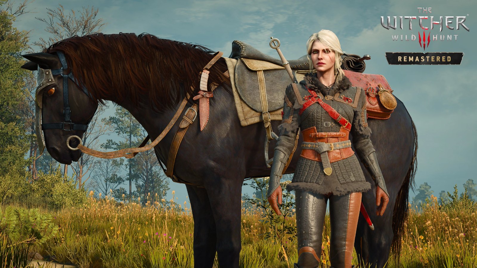 Witcher IV Ciri and Kelpie